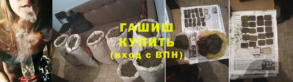 крисы Каменка