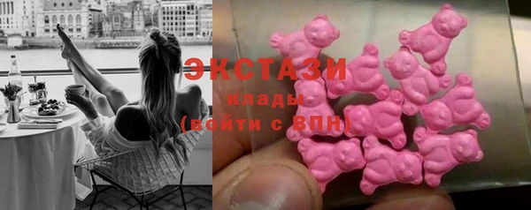 крисы Каменка