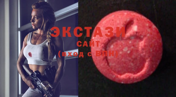 крисы Каменка