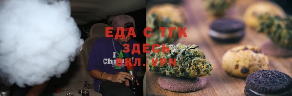 крисы Каменка