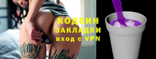 крисы Каменка