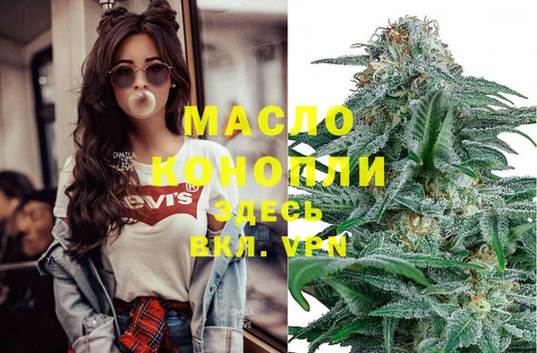 крисы Каменка