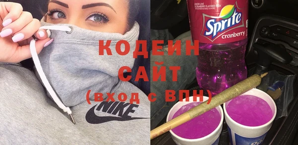 крисы Каменка