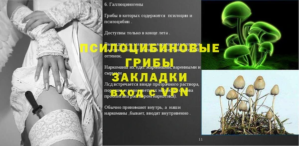 крисы Каменка