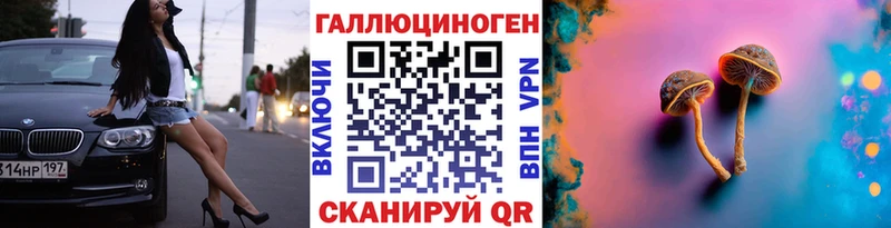 Купить  Сланцы  Галлюциногенные грибы Magic Shrooms 